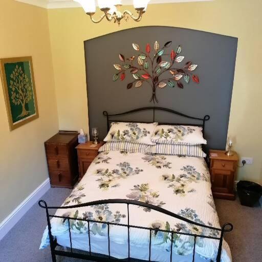 Bed and Breakfast Ty Madog Eryri Snowdonia Cwm-y-glo Esterno foto